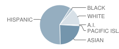 Barton (Clara) Elementary School Student Race Distribution