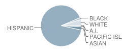 Franklin (Benjamin) Elementary School Student Race Distribution