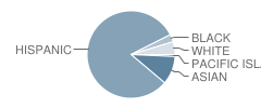 Gauer (Melbourne A.) Elementary School Student Race Distribution
