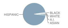 Jefferson (Thomas) Elementary School Student Race Distribution