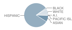 Juarez (Benito) Elementary School Student Race Distribution