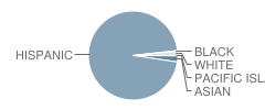 Lincoln (Abraham) Elementary School Student Race Distribution
