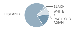 Madison (James) Elementary School Student Race Distribution