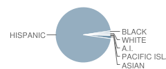 Mann (Horace) Elementary School Student Race Distribution