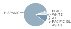 Marshall (John) Elementary School Student Race Distribution