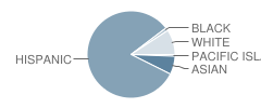 Roosevelt (Theodore) Elementary School Student Race Distribution
