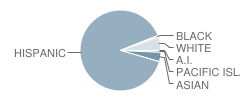 Ross (Betsy) Elementary School Student Race Distribution