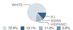Oakview High (Alternative) School Student Race Distribution