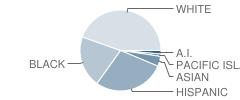 Prospects High (Alternative) School Student Race Distribution