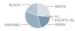 Muir (John) Elementary School Student Race Distribution
