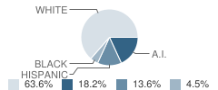 Tsurai High (Continuation) School Student Race Distribution