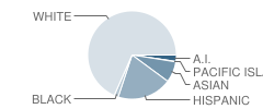 Monterey Road Elementary School Student Race Distribution