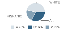 Palisade Glacier High (Continuation) School Student Race Distribution