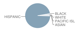 Adam (Willaim Laird) Elementary School Student Race Distribution