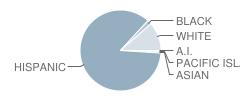 Miller (Isaac) Elementary School Student Race Distribution