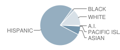 Taylor (Ida Redmond) Elementary School Student Race Distribution