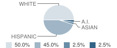 Vista (Alternative) School Student Race Distribution