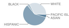 Monterey High (Continuation) School Student Race Distribution