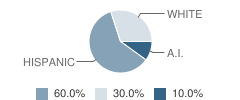 Palisades High (Continuation) School Student Race Distribution