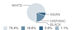 Castille Elementary School Student Race Distribution