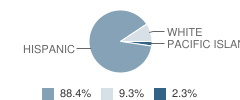 Rincon High (Continuation) School Student Race Distribution