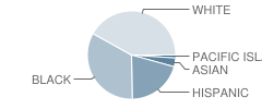 Mcclellan High (Continuation) School Student Race Distribution