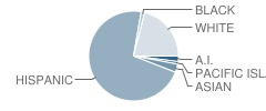 Argus High (Continuation) School Student Race Distribution