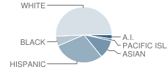 Mcmanus (John A.) Elementary School Student Race Distribution