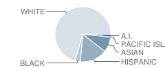 Marsh (Harry M.) Junior High School Student Race Distribution