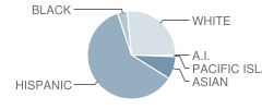 Glenmeade Elementary School Student Race Distribution