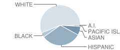 Allen (Ella B.) School Student Race Distribution