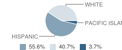 Johanna Echols-Hansen High (Continuation) School Student Race Distribution
