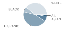 Gateway High (Continuation) School Student Race Distribution