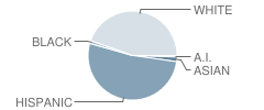 Conejo Valley High (Continuation) School Student Race Distribution