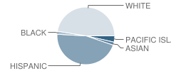 King (Martin Luther) High (Continuation) School Student Race Distribution