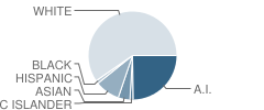 Sunset High (Continuation) School Student Race Distribution