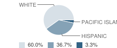 Arena High (Continuation) School Student Race Distribution