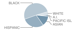 Daylor (William) High (Continuation) School Student Race Distribution