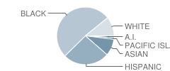 Insights High (Continuation) School Student Race Distribution
