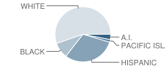 Transition High (Continuation) School Student Race Distribution