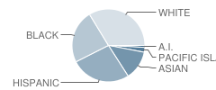 Las Flores High (Alternative) School Student Race Distribution