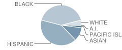Rio Cazadero High (Continuation) School Student Race Distribution