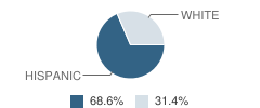 Vista High (Continuation) School Student Race Distribution