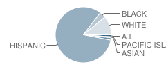 Valley High (Continuation) School Student Race Distribution