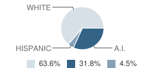 Mountain View High (Continuation) School Student Race Distribution