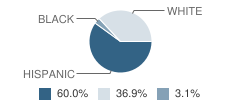 Oasis High (Alternative) School Student Race Distribution