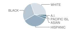 Kinney High (Continuation) School Student Race Distribution