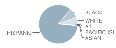 Birch High (Continuation) School Student Race Distribution