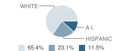 Noyo High (Continuation) School Student Race Distribution