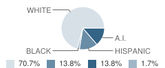 East High (Continuation) School Student Race Distribution